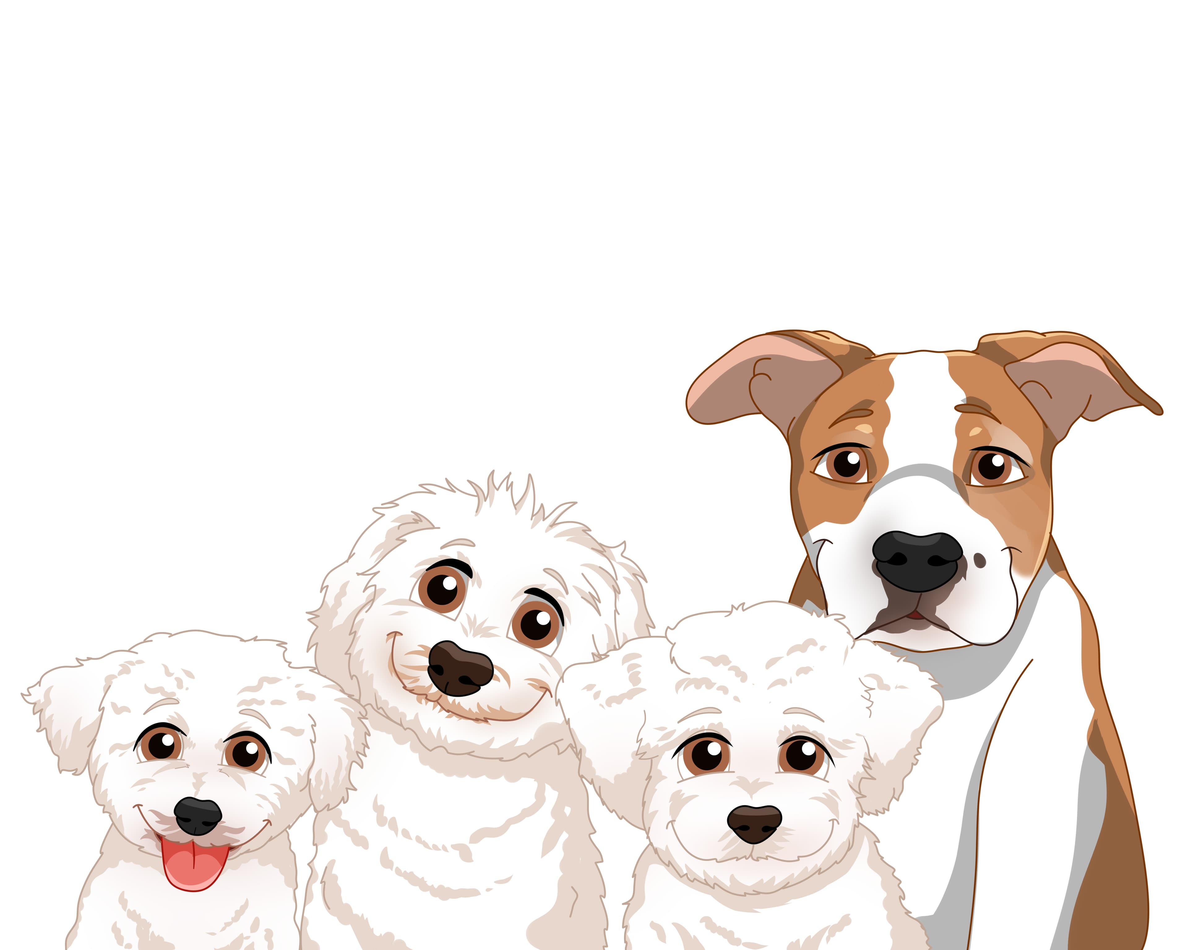Idée cadeau : portrait d'animaux d'après photo